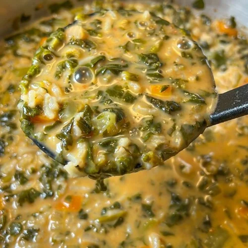 Bulgarian Food - Spinach Soup