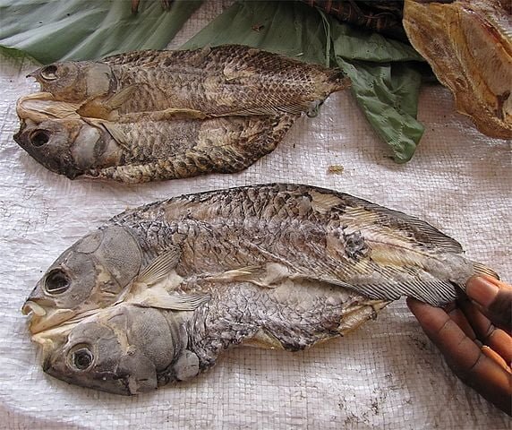 Congo Food - Mbuzi Ya Sunga (Sun-Dried Fish, A Popular Snack Enjoyed by Locals)