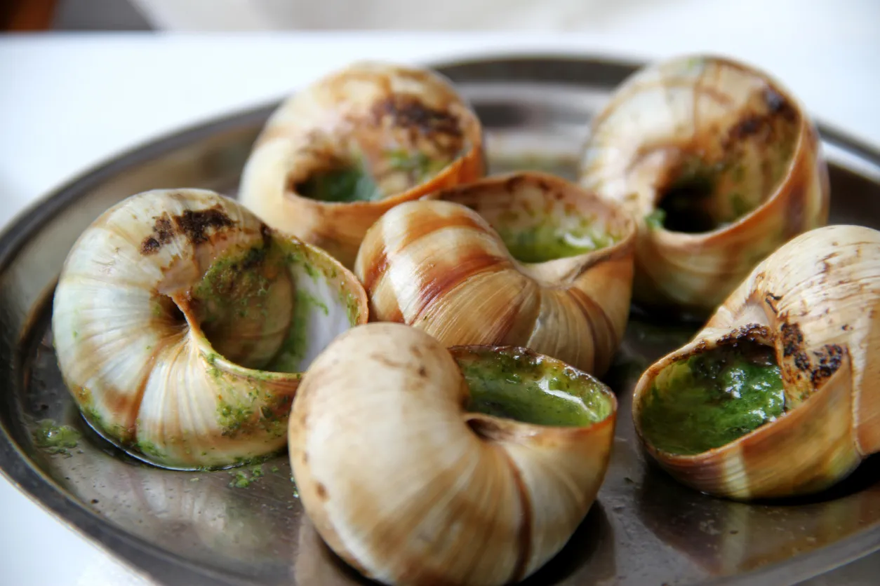 French Cuisine - Snails