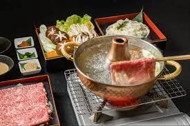 Japanese Food - Shabu Shabu Hot Pot