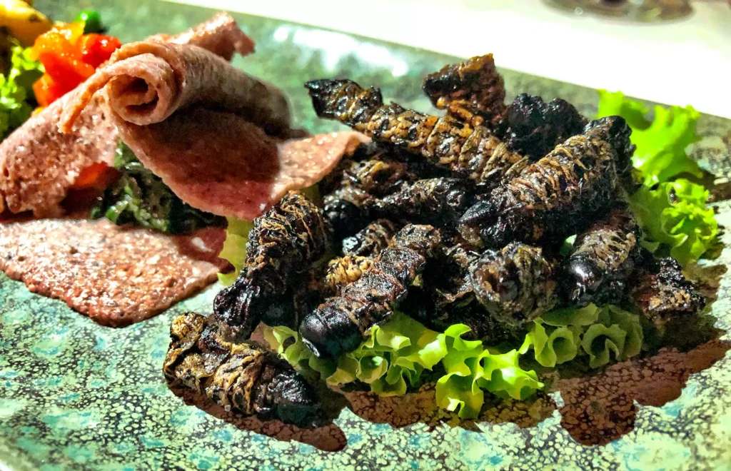 Zimbabwe Food - Mopane Worms