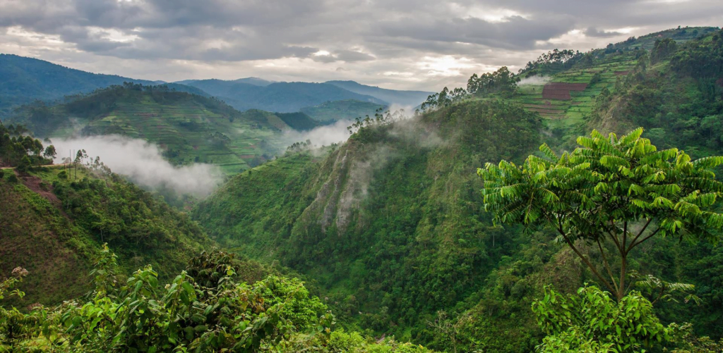 Rwanda, the "Land of a Thousand Hills