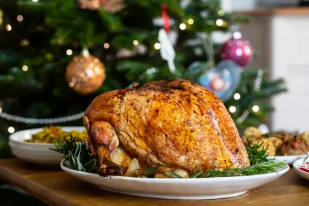 Albanian Cuisine - Roast Turkey (Christmas)