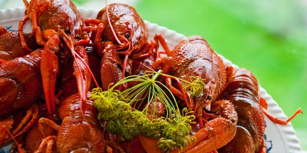 Swedish Food - Crayfish boiled in dill 