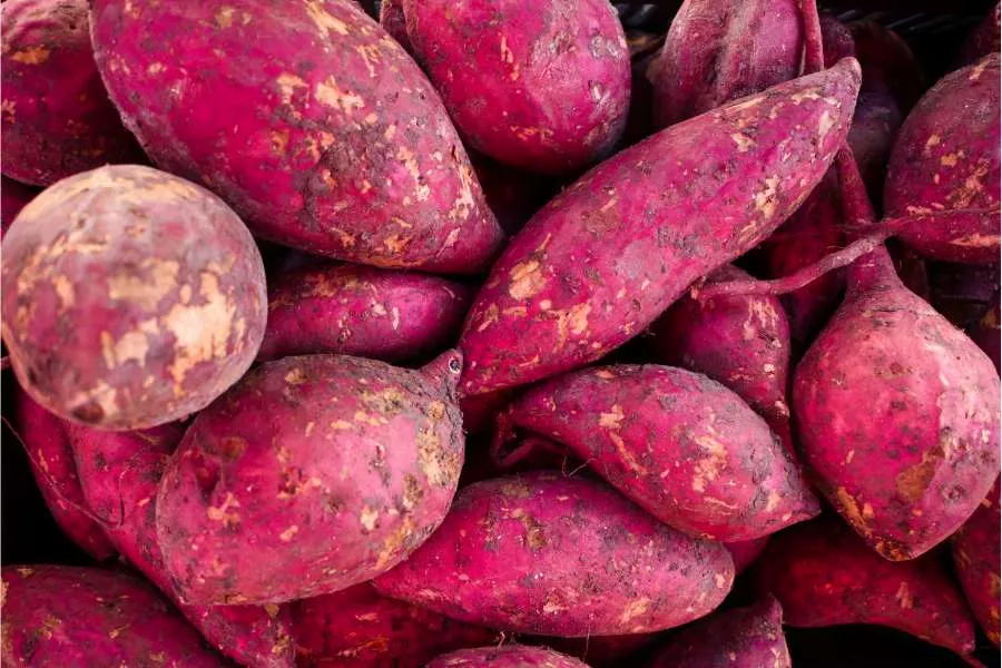 Burundian Food - Ibijumbu (Sweet Potatoes)