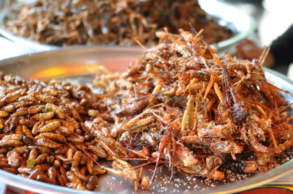 Congo Food - Insects