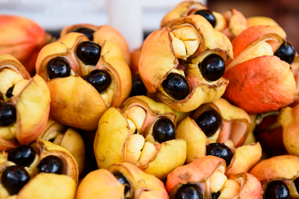 Jamaican Food - Ackee Fruit