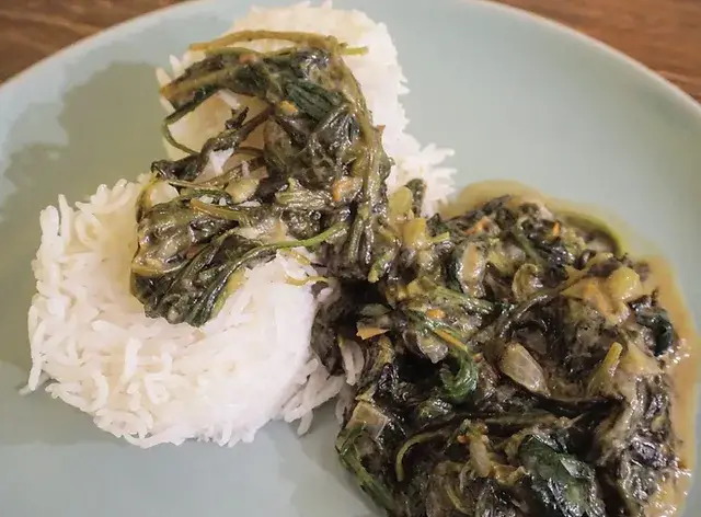Central African Republic Food - Spinach Stew